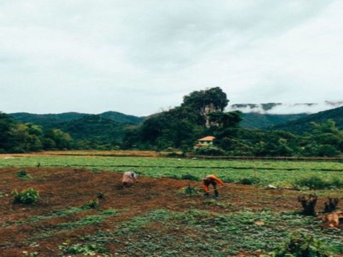 Vang Vieng (Env. 18 Km) 0