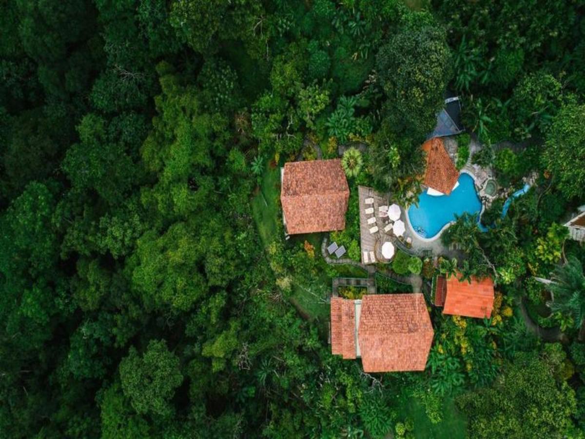 De Monteverde à Manuel Antonio 0