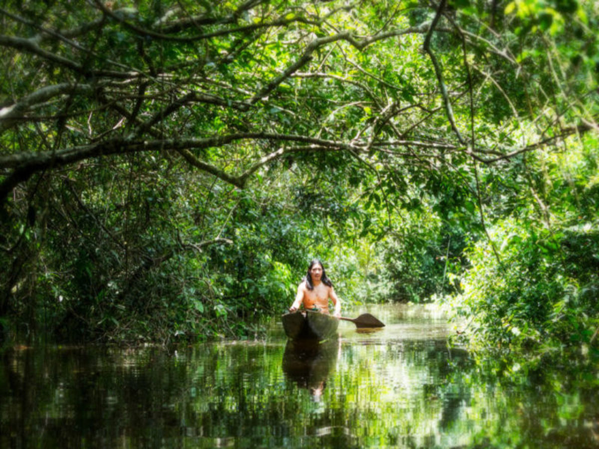 Lundi / Amazonie 0