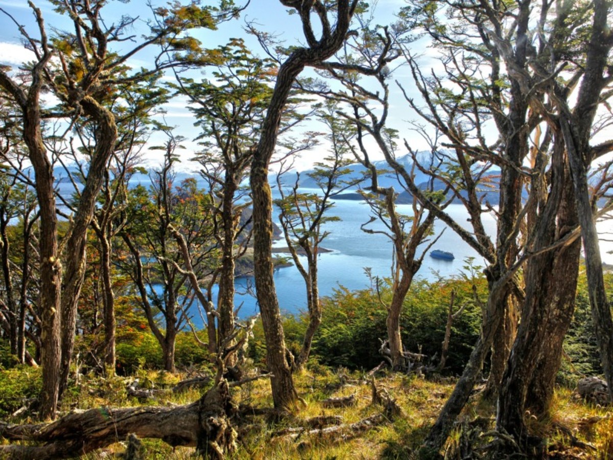 Ushuaia > Croisiere 0