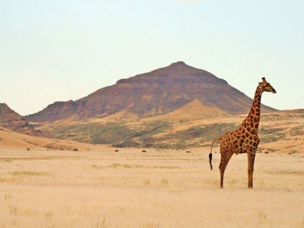 Fish River Canyon Kalahari 0