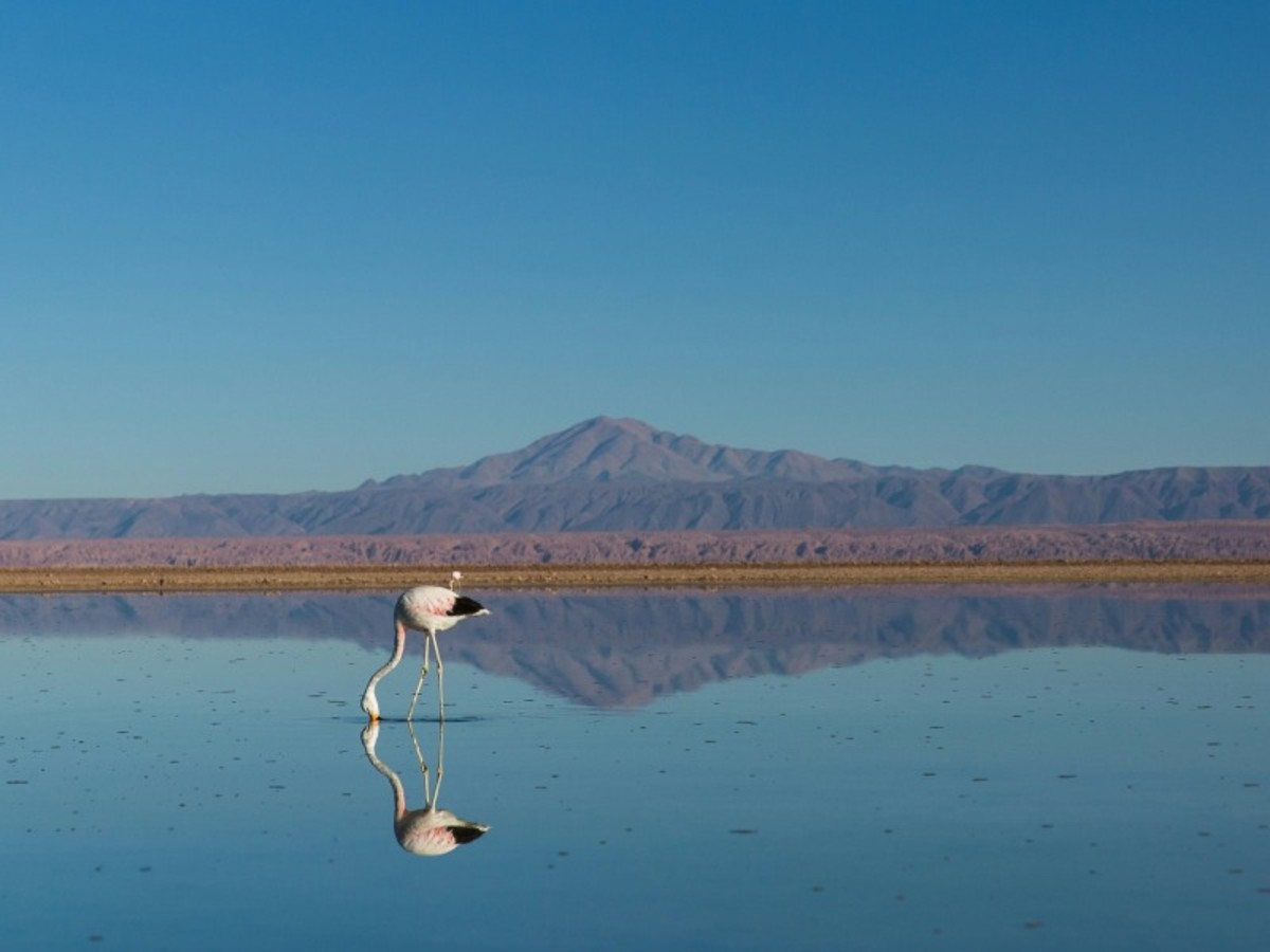 Santiago (✈) Vol Pour Calama – Arrivée à San Pedro De Atacama 0