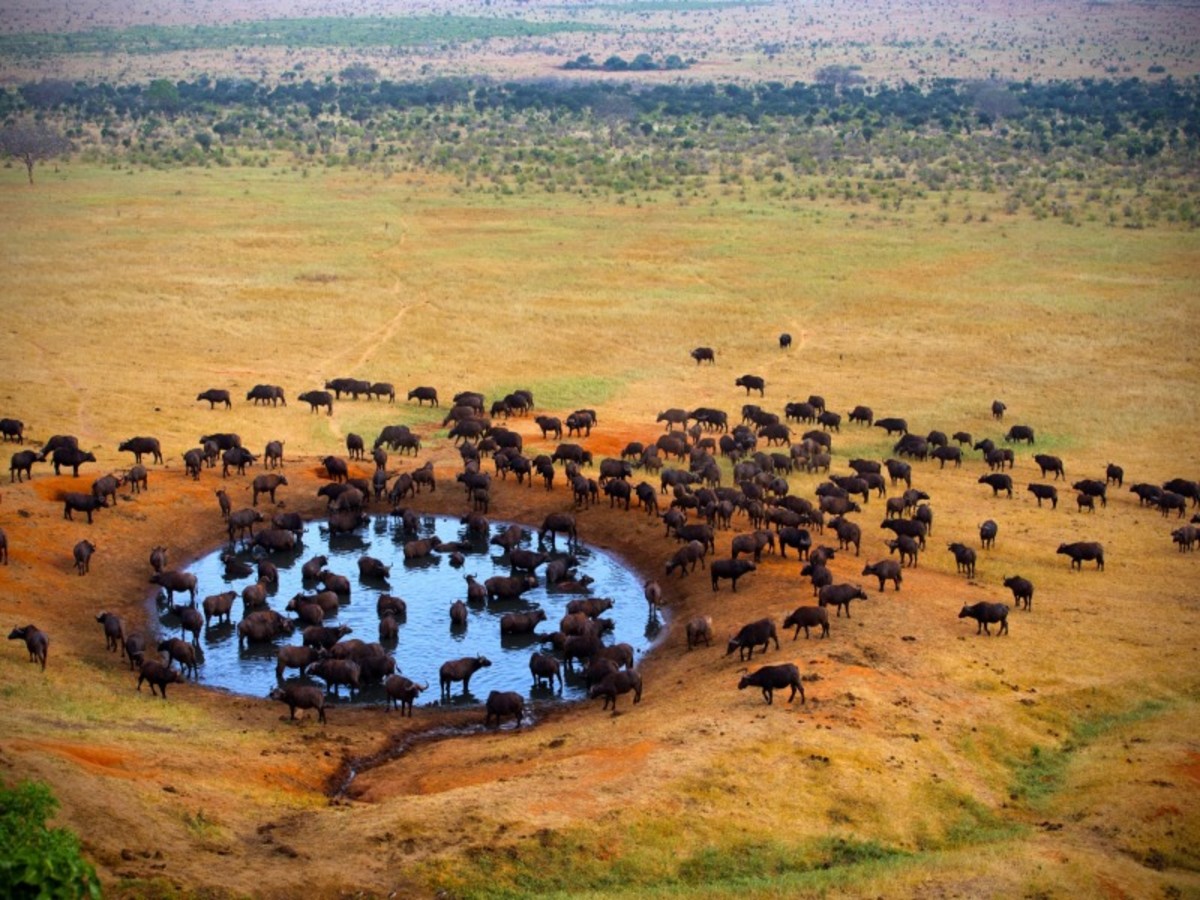 Nairobi > Parc National D’amboseli (120 Km) 0