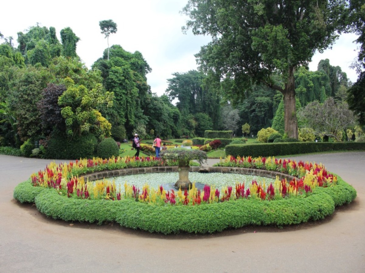 Kandy (Env. 35 Km) 0
