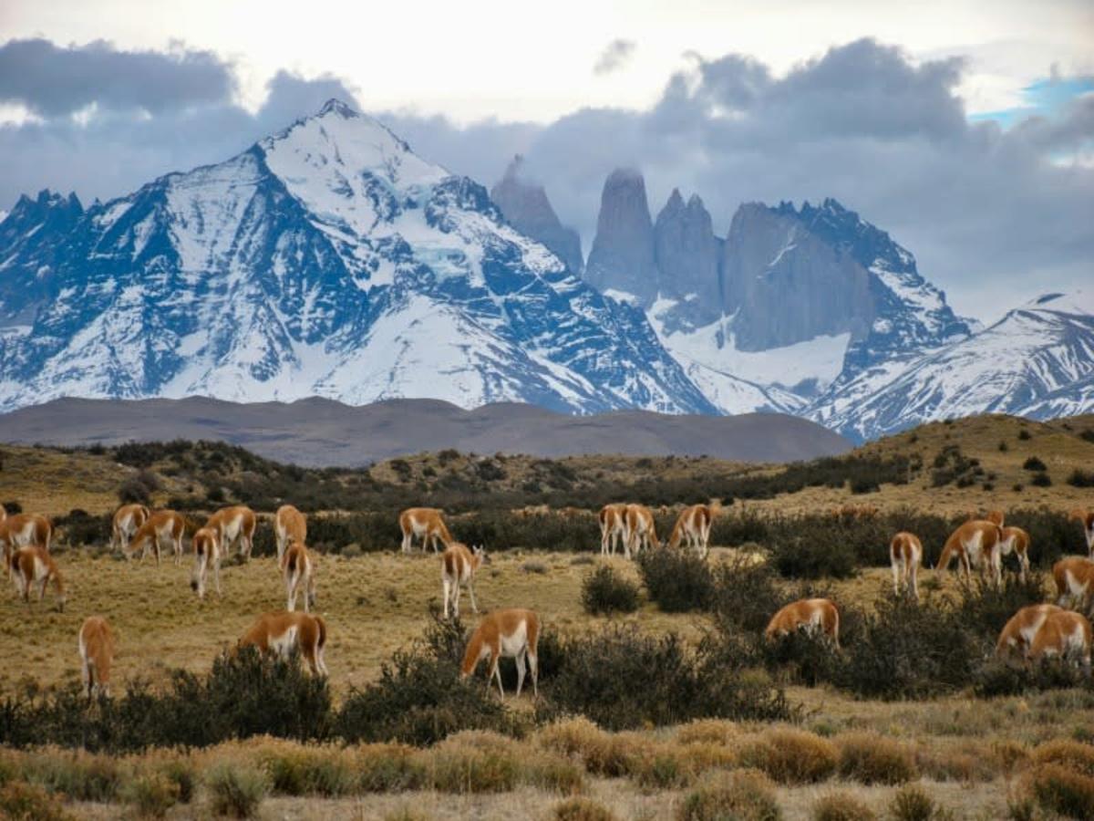 Puerto Natales > Parc National Torres Del Paine > Puerto Natales 0