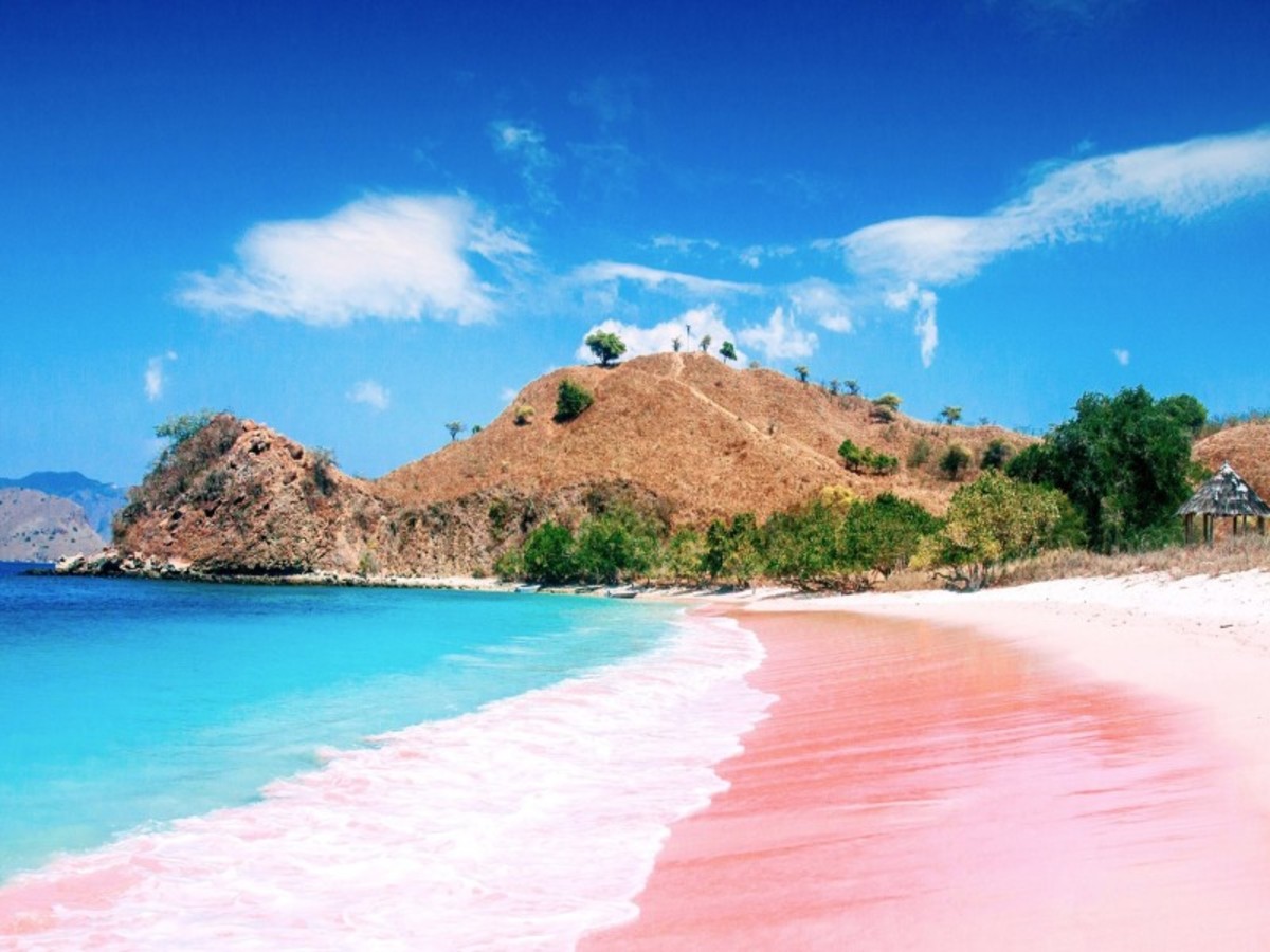 Labuan Bajo, Padar , Pink Beach , Manta Point , Labuan Bajo 0