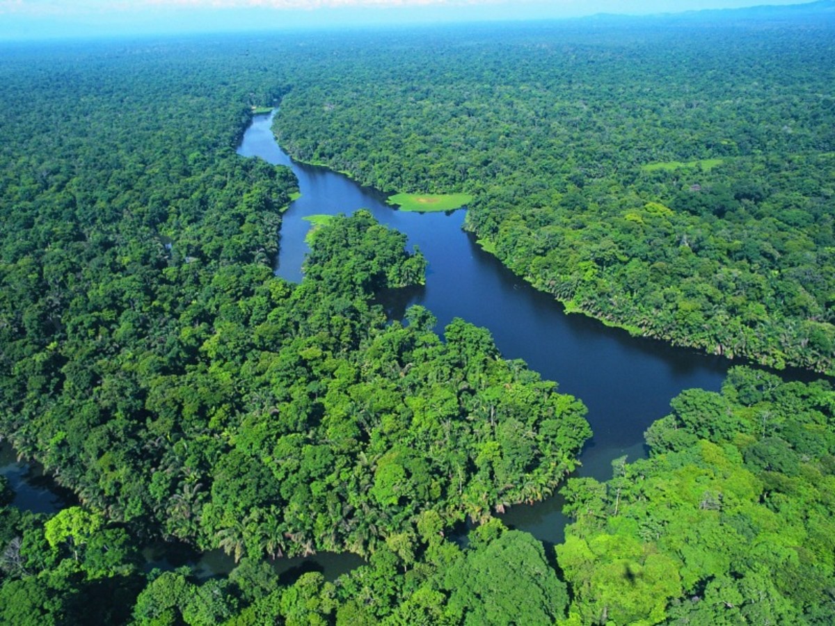 Sarapiqui > Tortuguero > Sarapiqui 0