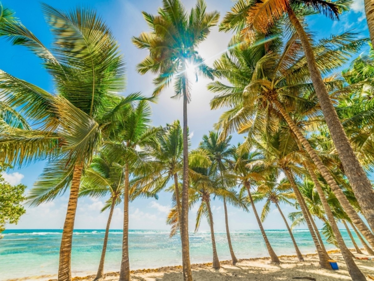 Combiné Guadeloupe et la Dominique | Dominique - Guadeloupe - Voyages E ...