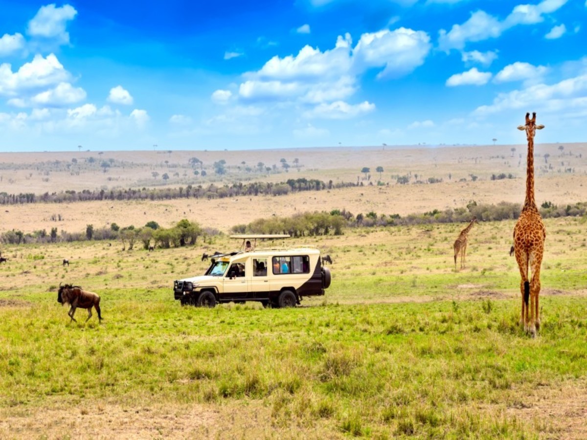 France > Nairobi 0