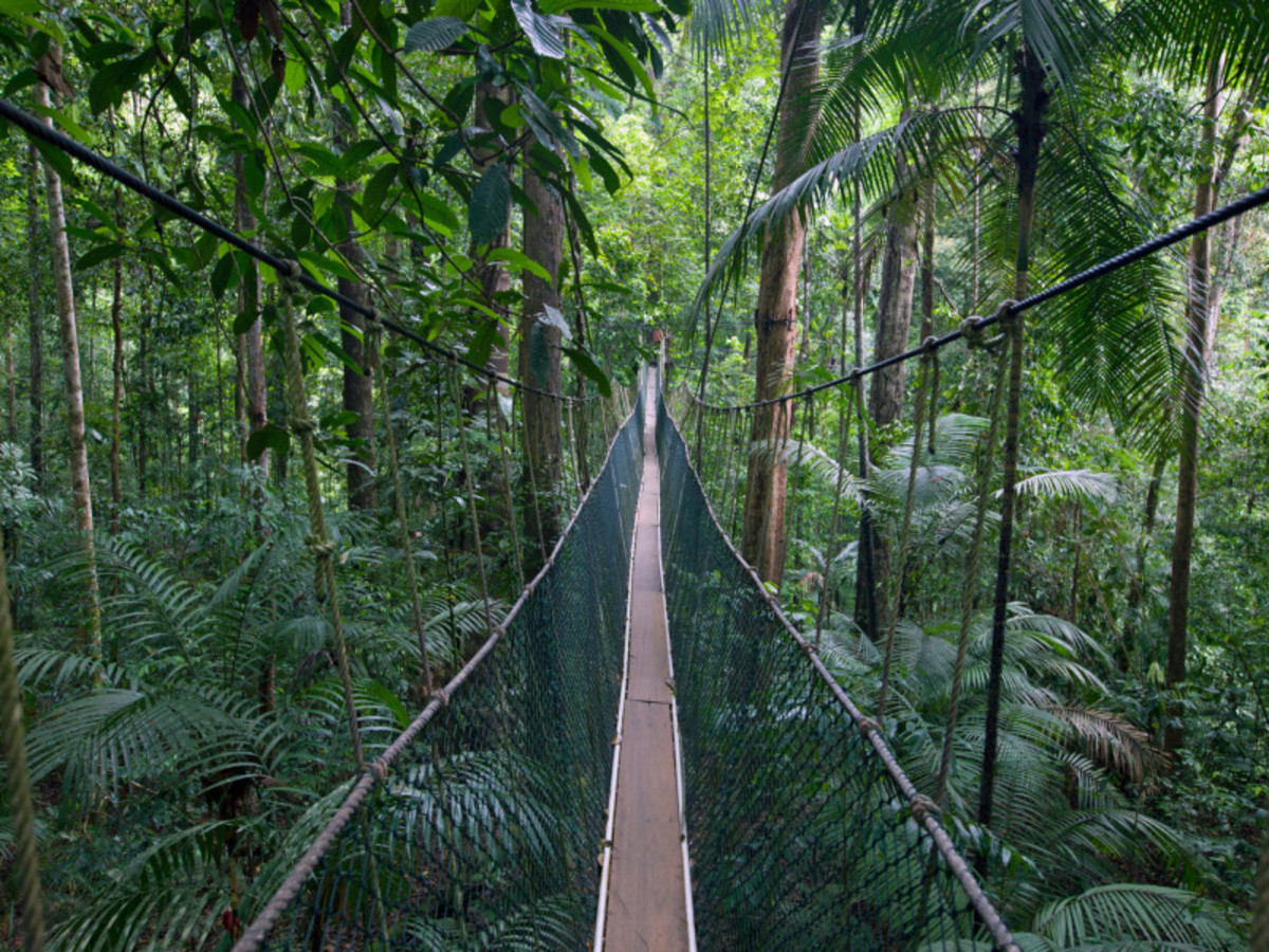 Kuala Lumpur Taman Negara (Env.250km) 0