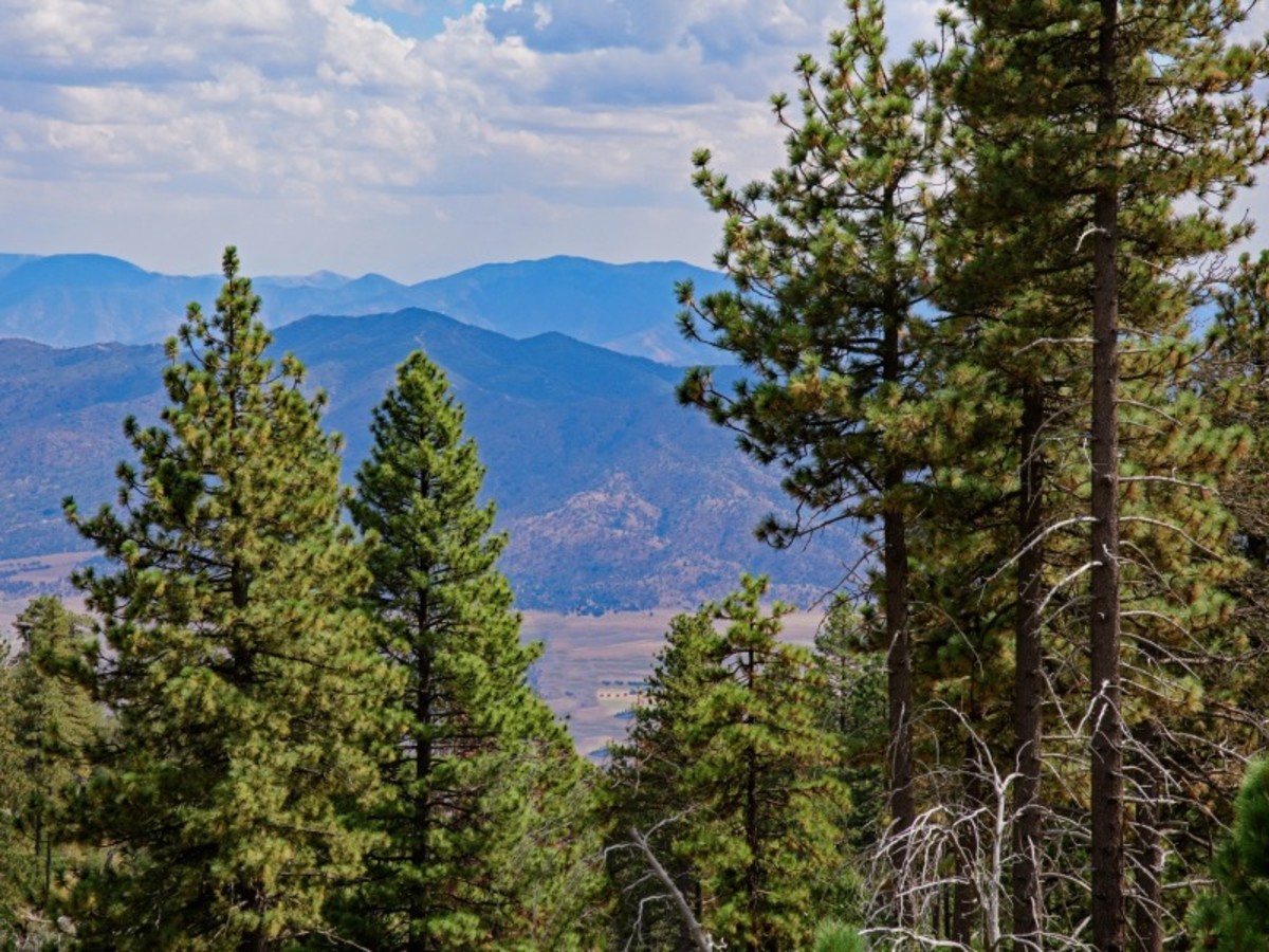 Bakersfield > Yosemite > Modesto (513 Km – 6h) 0