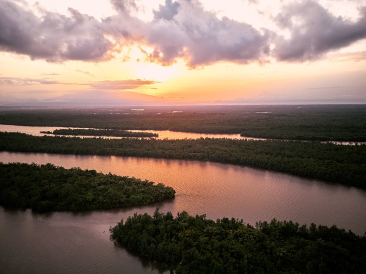 Vendredi / Iquitos (Croisière) 0