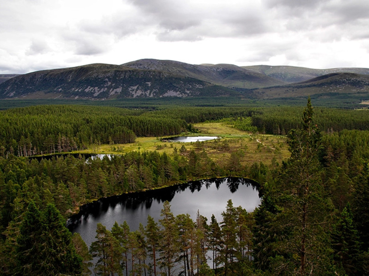 Pitlochry – Parc National des Cairngorms – Strathpeffer (région d'Inverness) 0