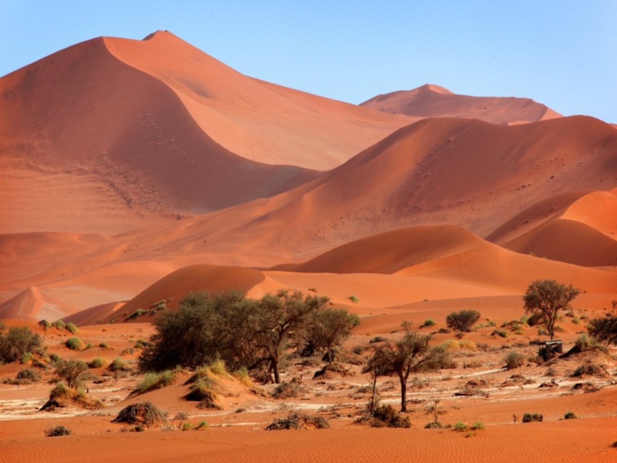 Swakopmund > Désert Du Namib (350 Km) 0