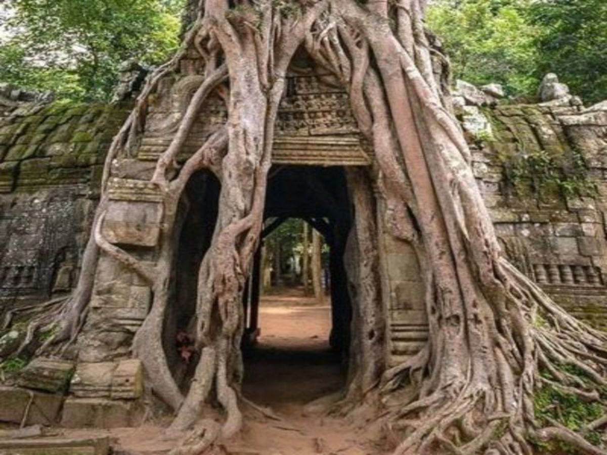 Siem Reap 0