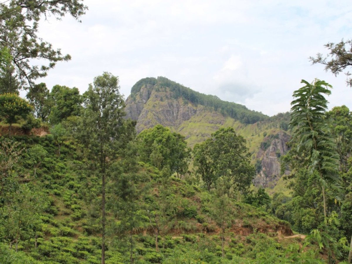 Gal Oya > Bandarawella (Env. 135 Km) (Train ) 0