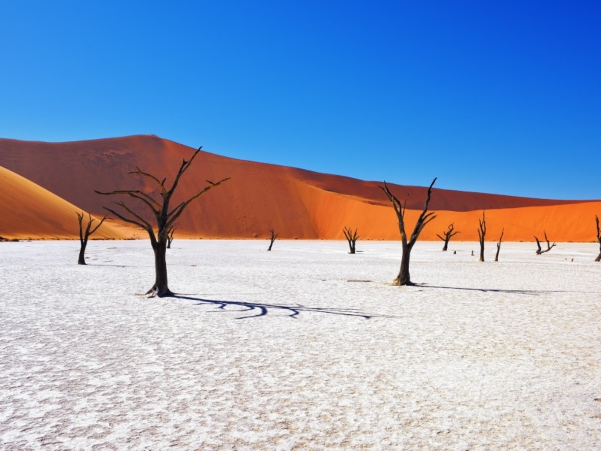 Swakopmund Namib Naukluft (450 Km) 0