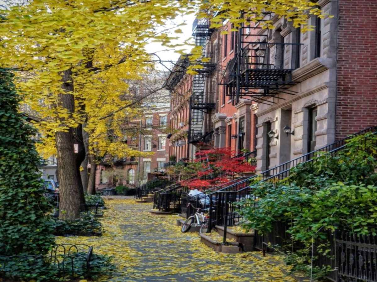 New York: Le Bronx, Greenwich Village Et Soho 0
