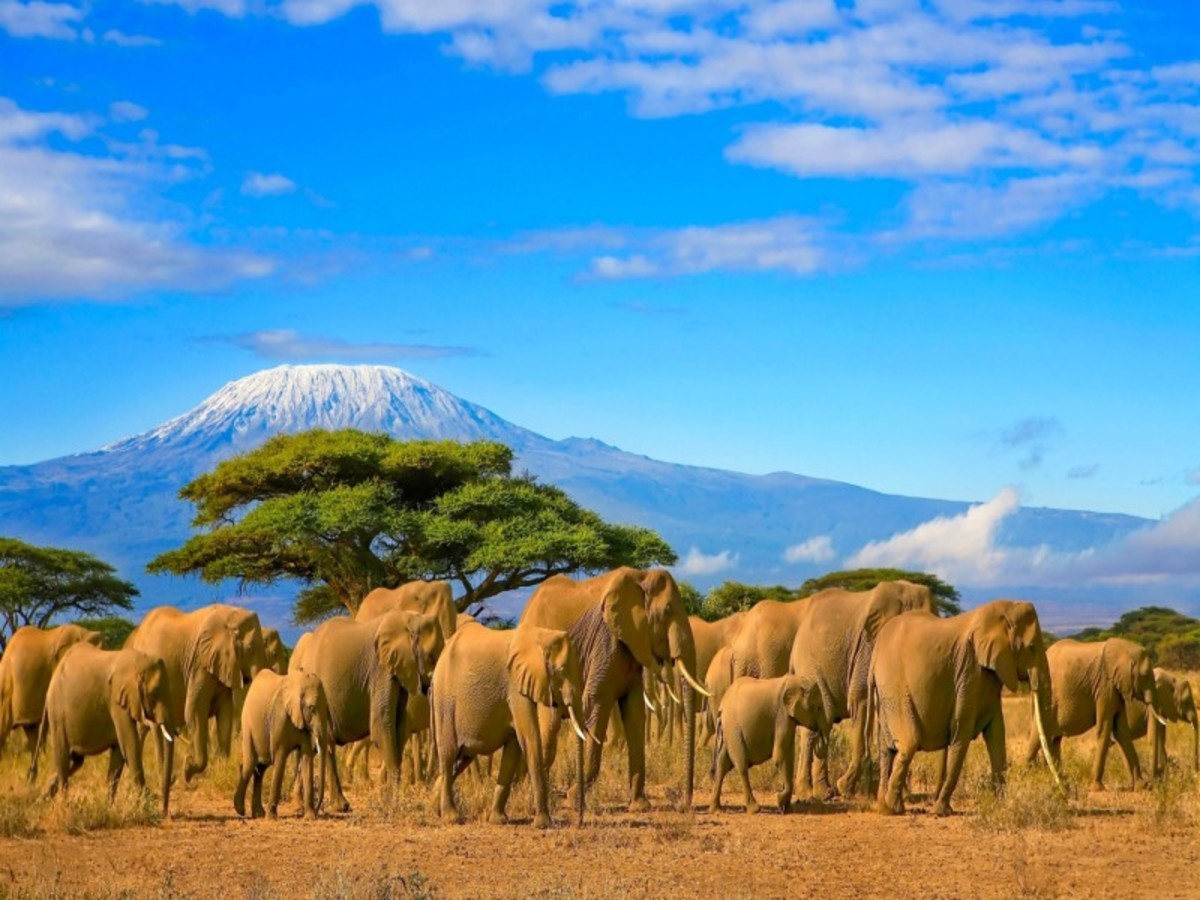 France > Arusha 0