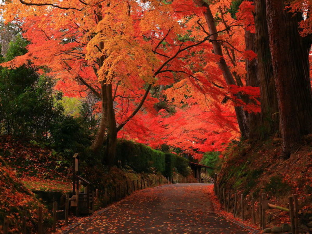 Morioka > Hiraizumi > Matsushima (Env.180km) 0