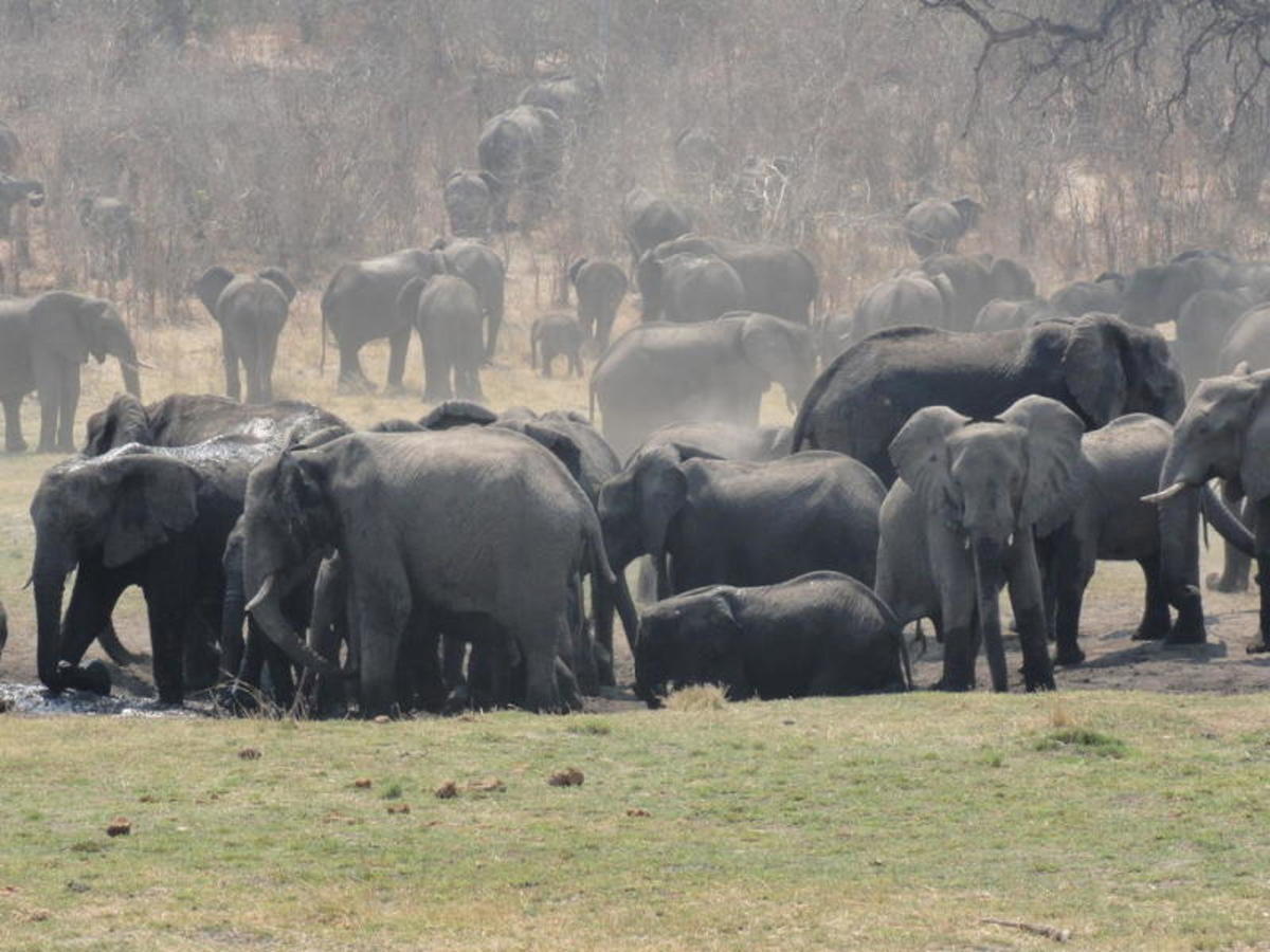 Otjiwarongo Etosha (505 Km) 0