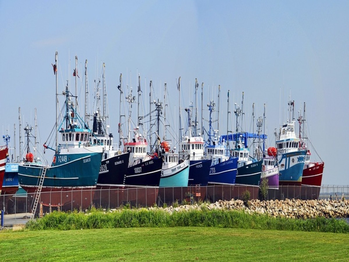 Caraquet > Moncton (300 Km) 0