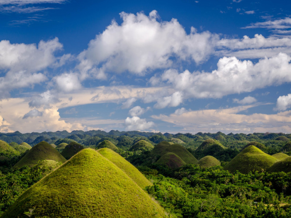 Chocolate Hills, Tarsiers Et Rivière Loboc 0