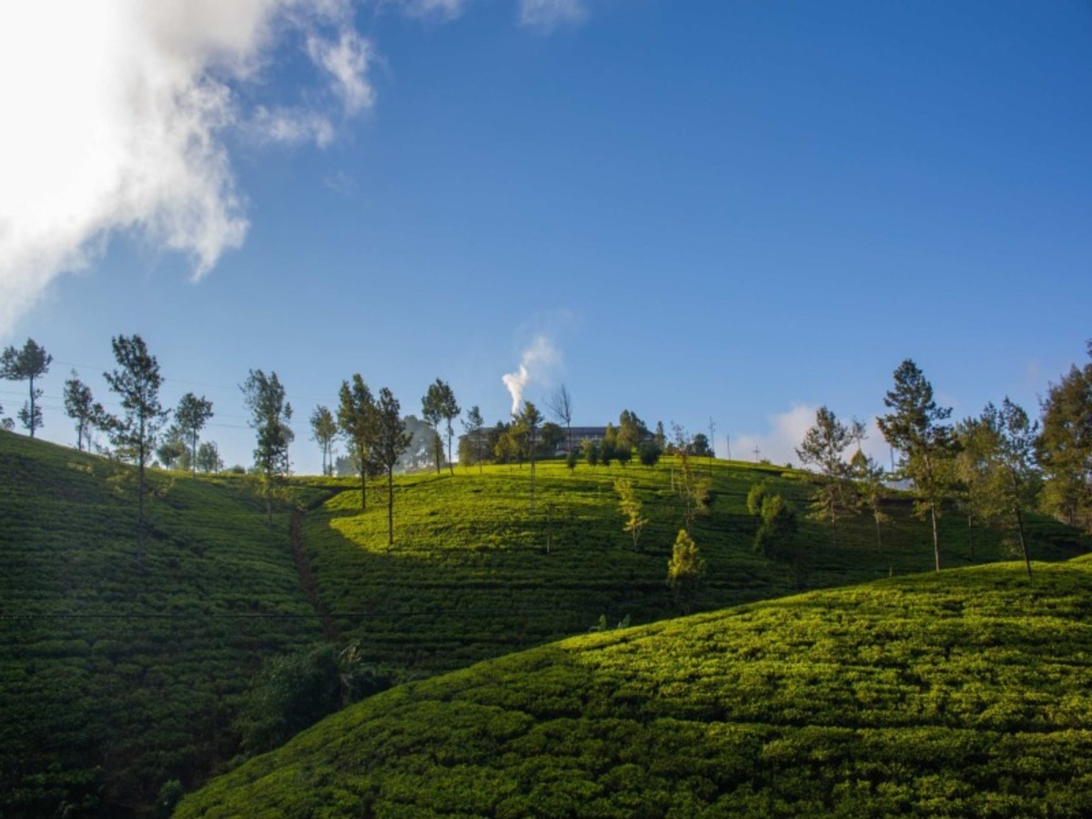 Nuwara Eliya > Ella > Udawalawe (Env. 160 Km) 0