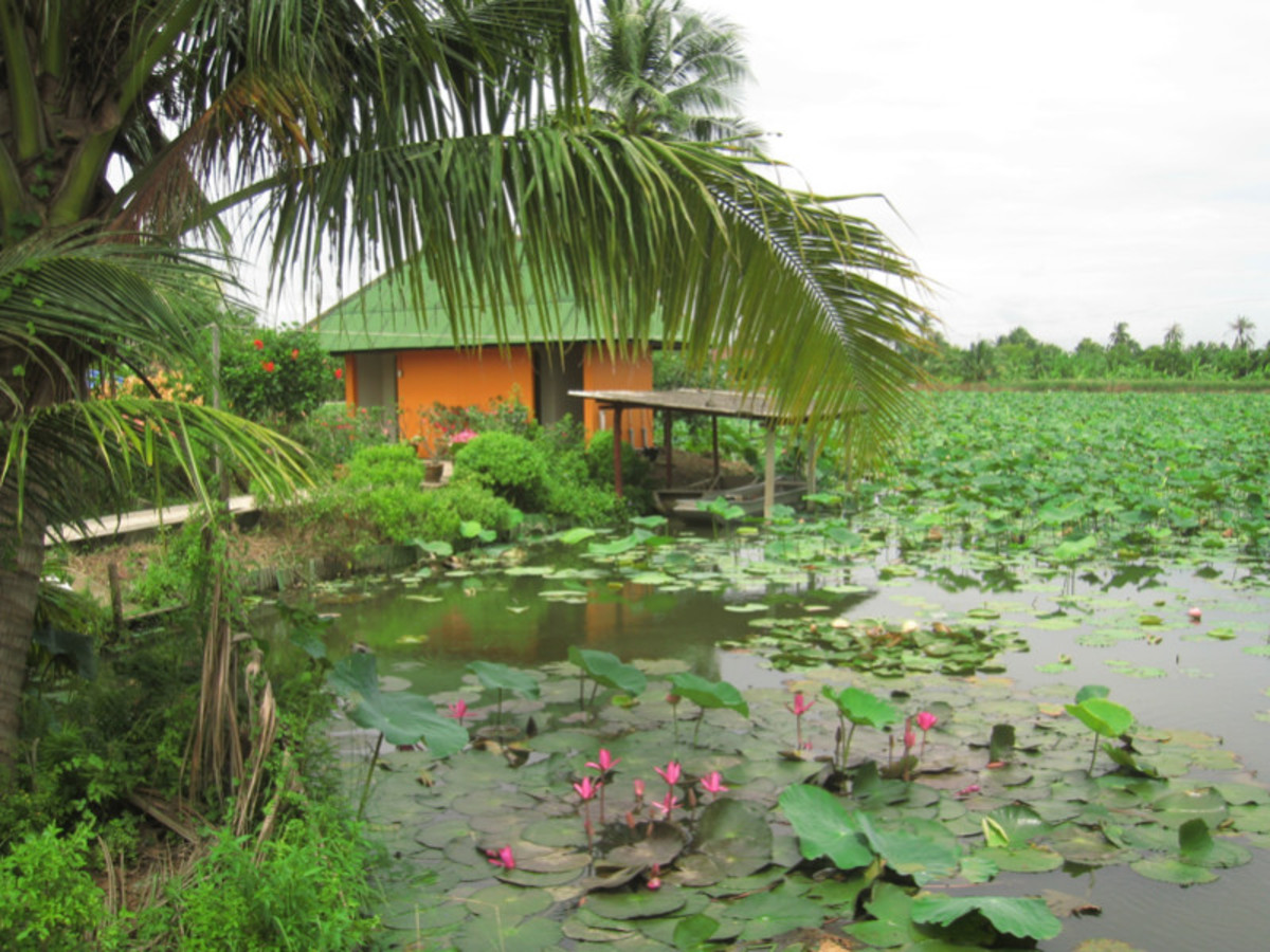 Bangkok – Nakhon Pathom – Bangkok (Env. 115 Km) 0