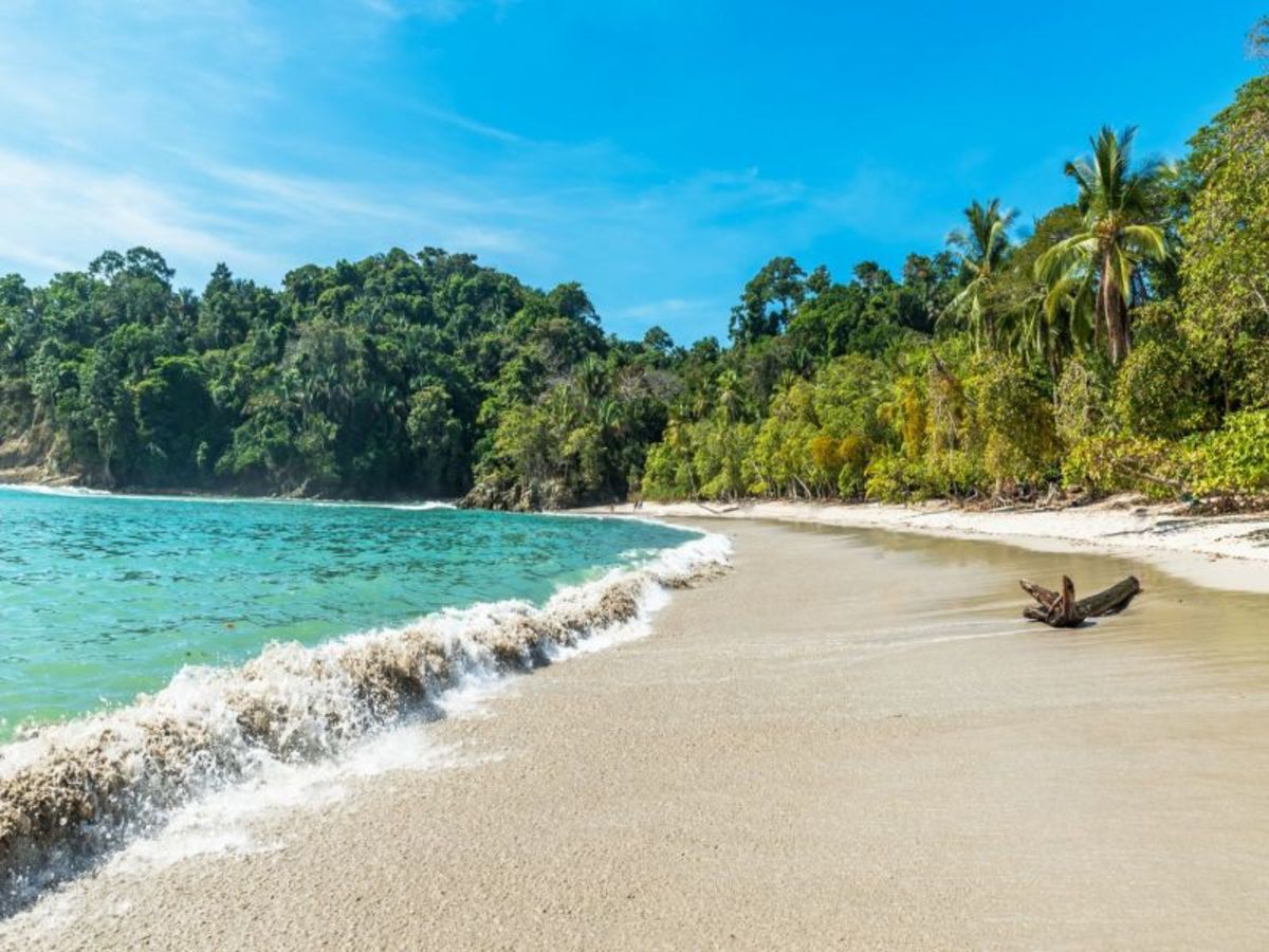 Monteverde / Tamarindo : Plage Du Pacifique En Régime Tout Inclus 0