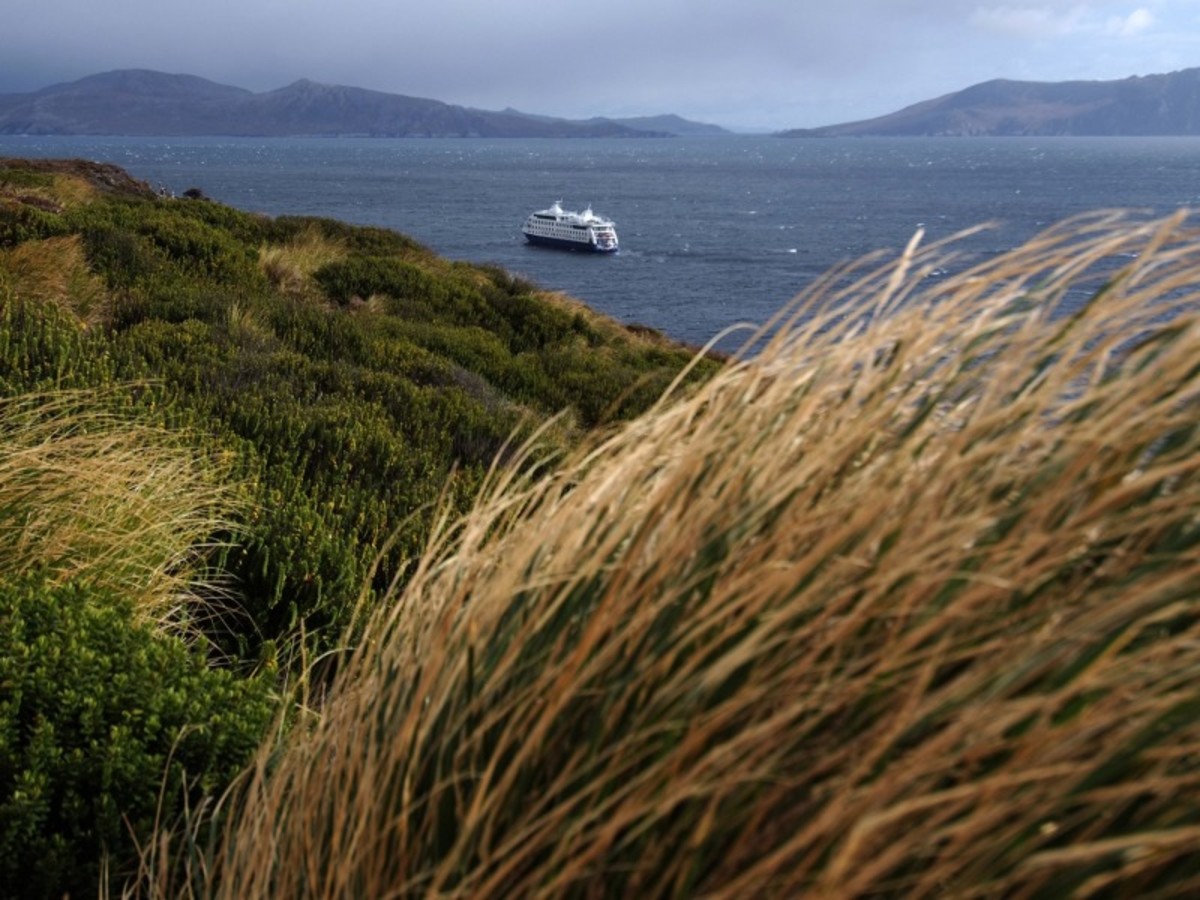 Croisiere : île Magdalena > Punta Arenas > Puerto Natales (250km/4h00) 0