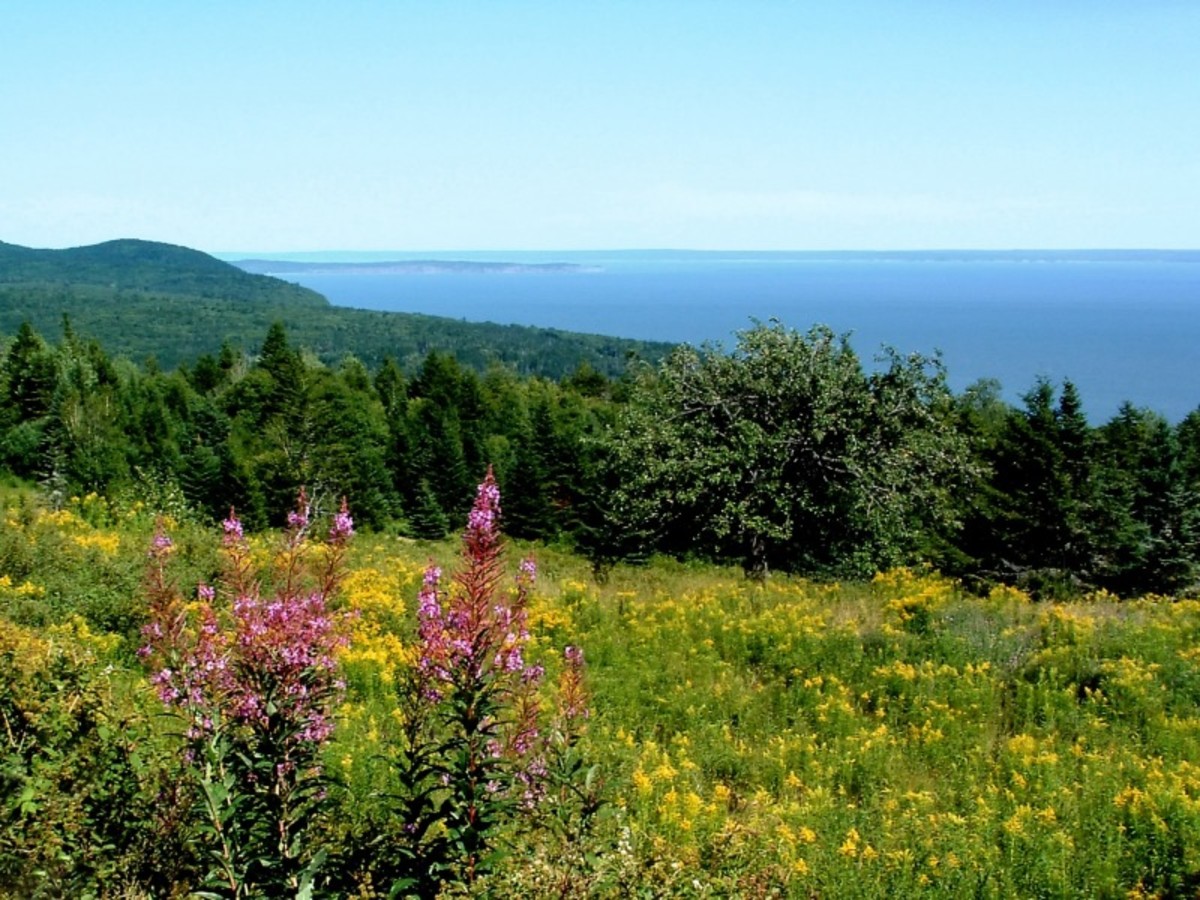 Moncton > Baie De Fundy > St John (200 Km) 0