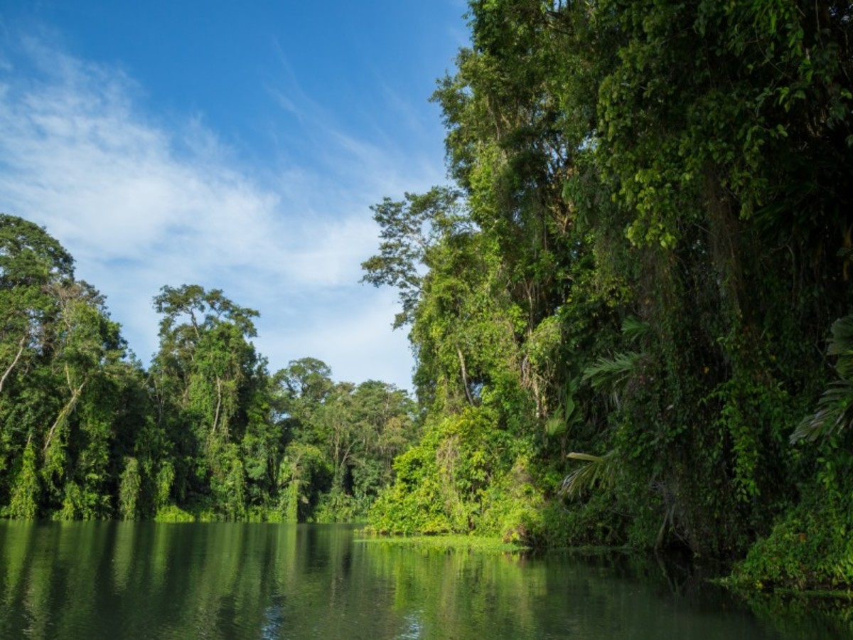 San Jose > Tortuguero (115km / 3h + 1h30 De Navigation) 0