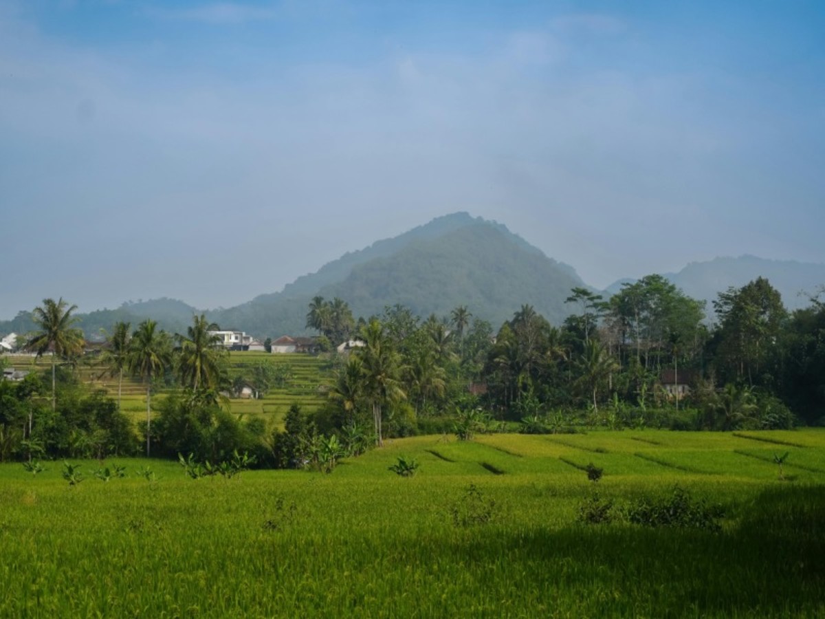 Yogyakarta / Jombang / Mont Bromo (Parc National Du Tengger) 0