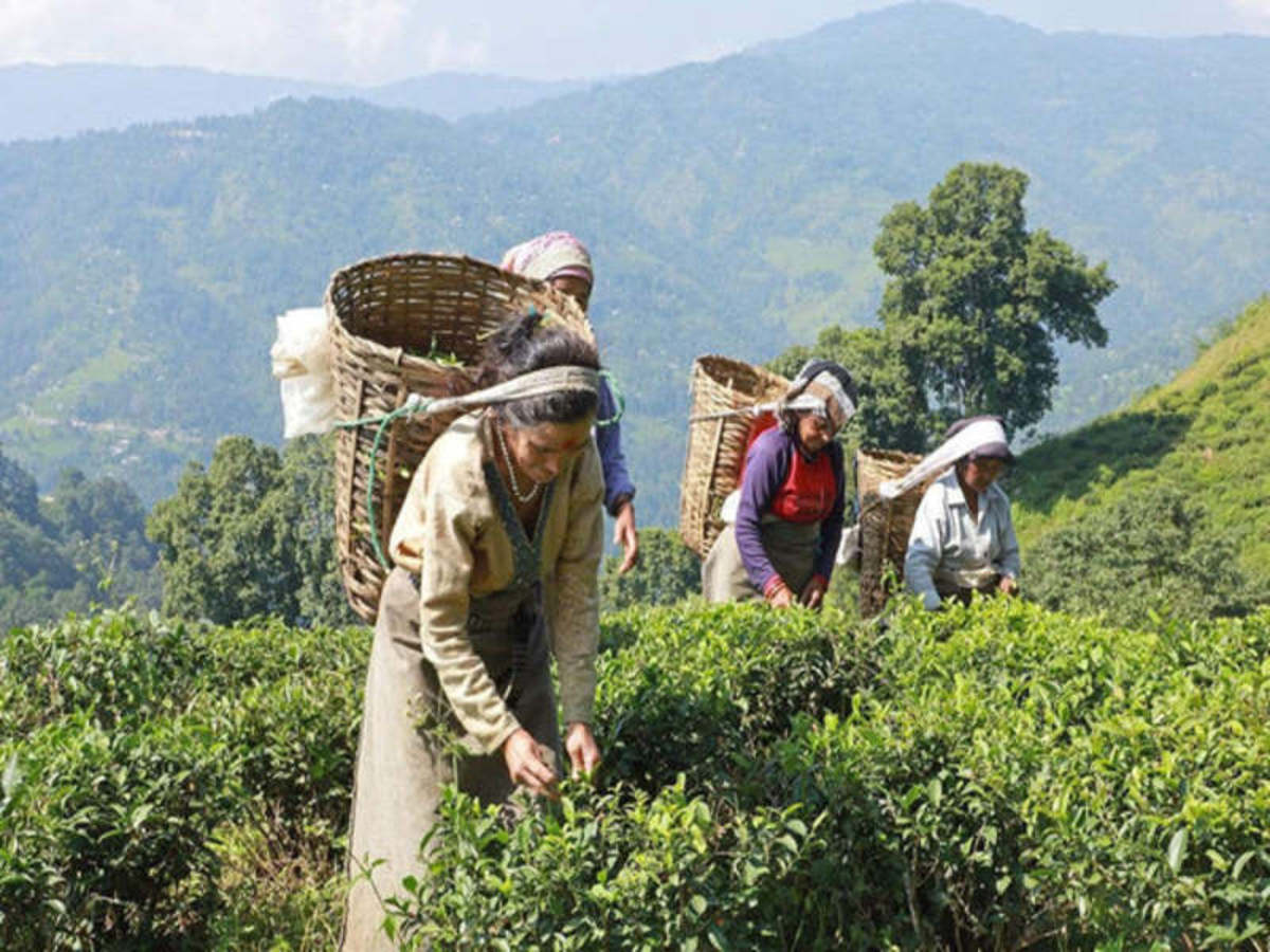 Kandy > Mandaramnuwara (Env. 40 Km) 0