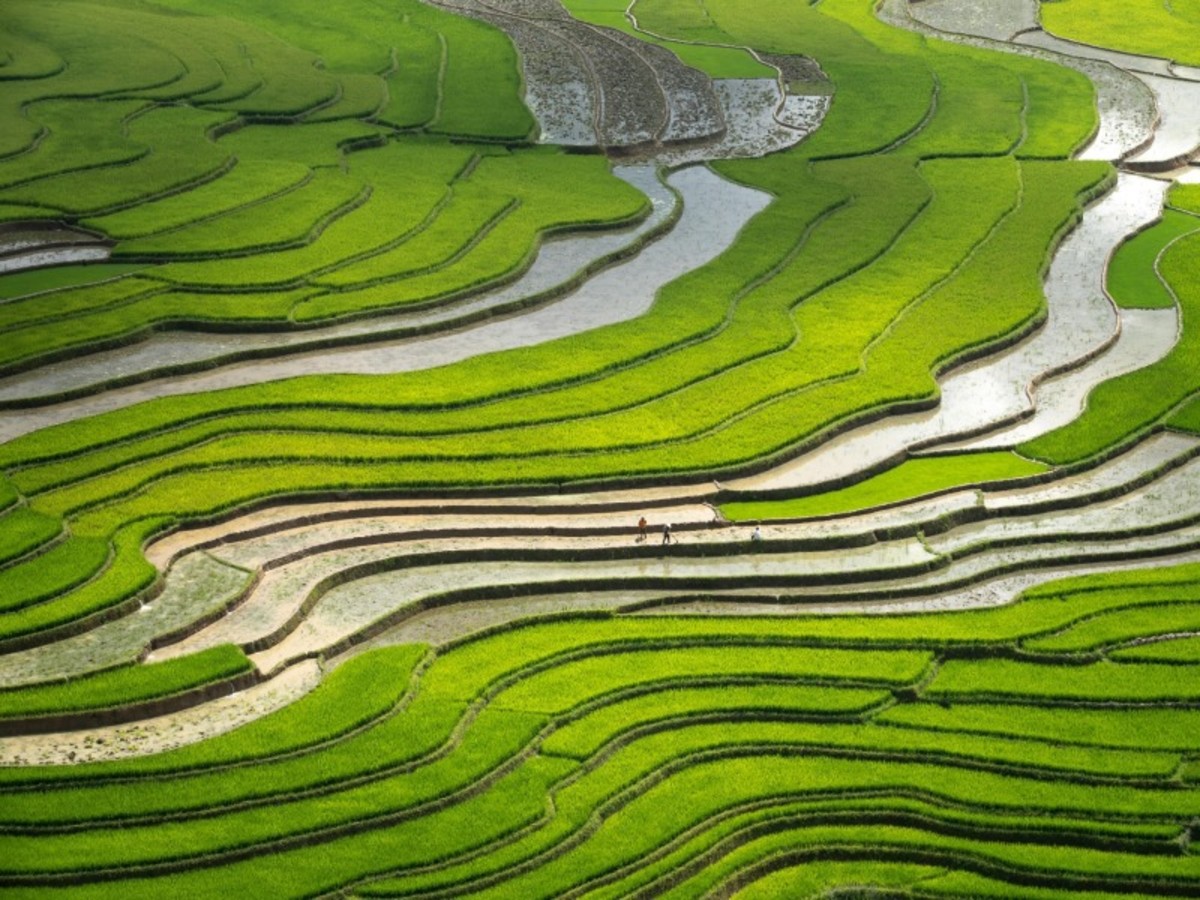 Yuanyang Kunming (Env. 324 Km) 0