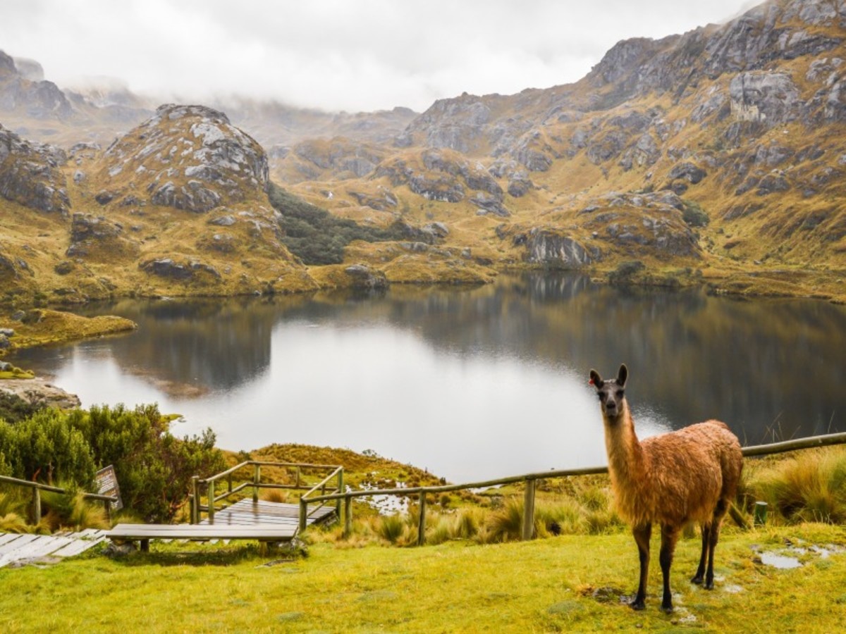 Jeudi / Cuenca / Las Cajas / Cuenca 0