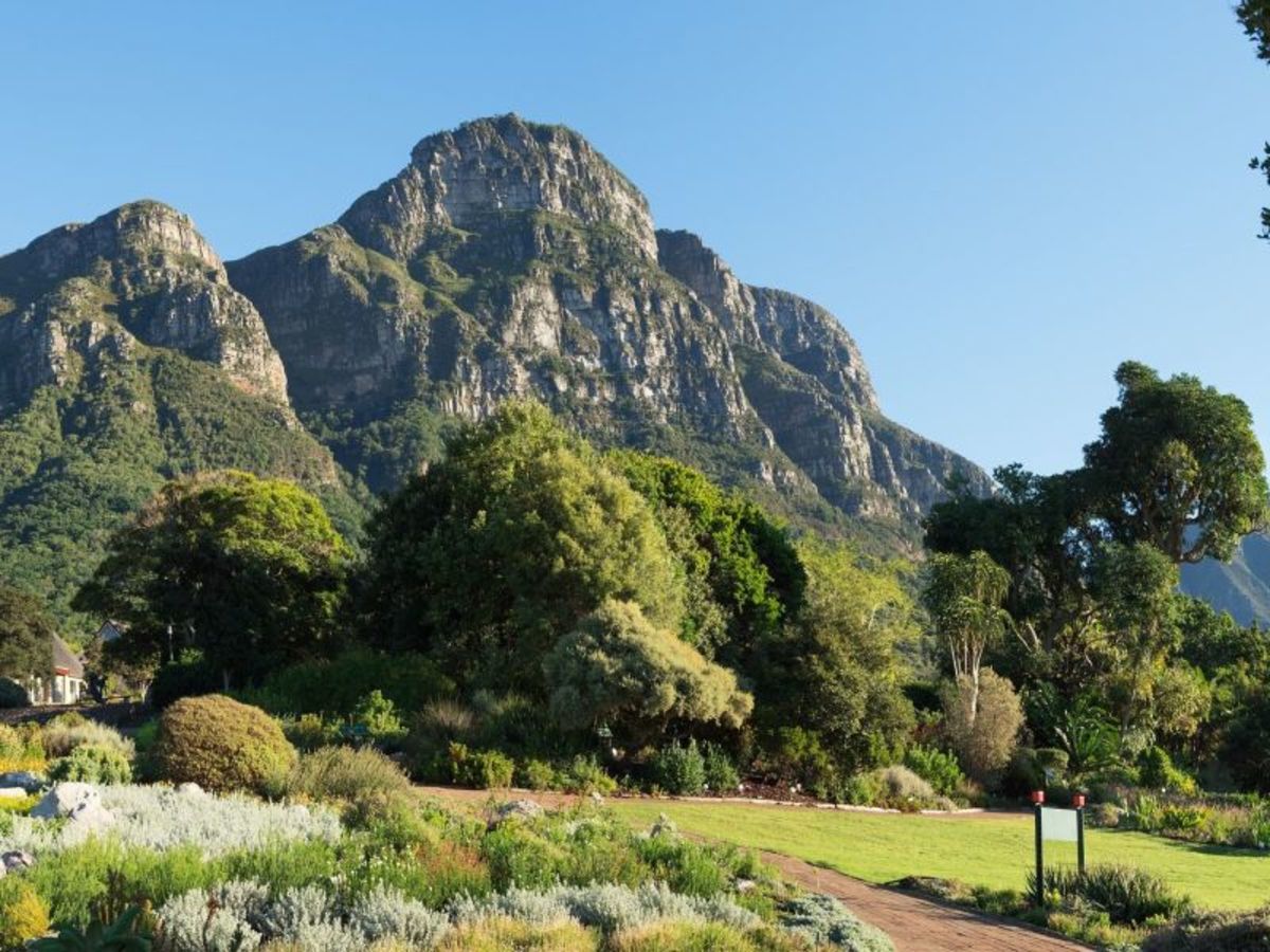 Cape Town 0