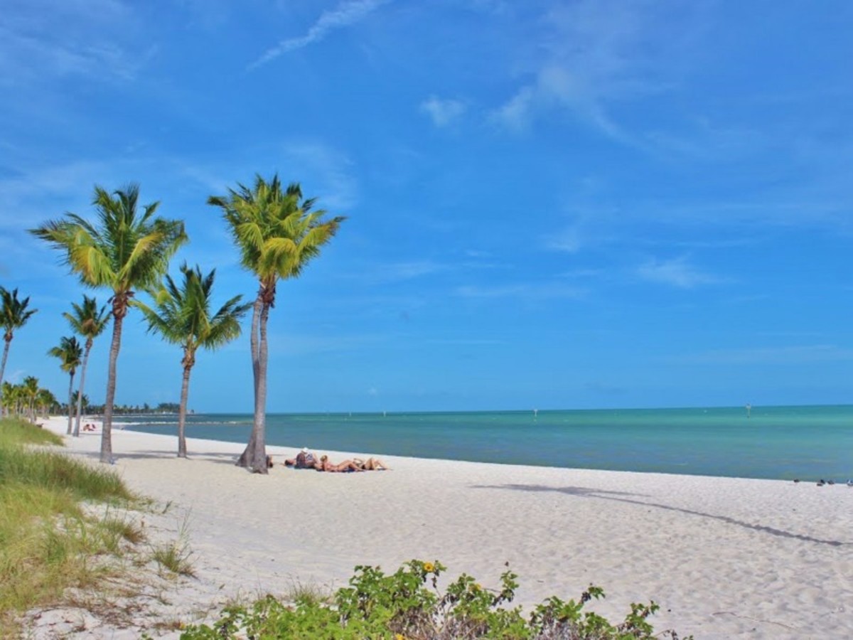 Fort Myers > Sarasota > Tampa > Region D’orlando (Env. 350 Km, 4h30) 0