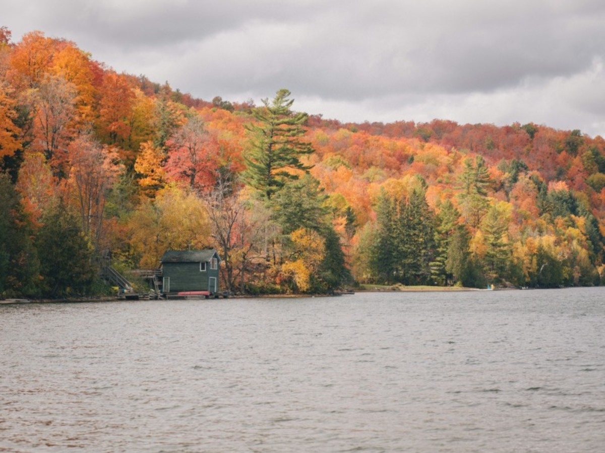 étape Nature > Montréal > France (Jusqu’à Env. 295 Km, 3h15) 0