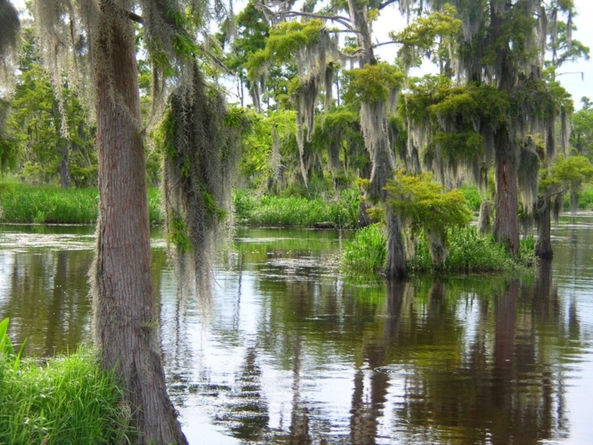 Natchez/Vidalia > Lafayette (Env. 260 Km, 3h) 0