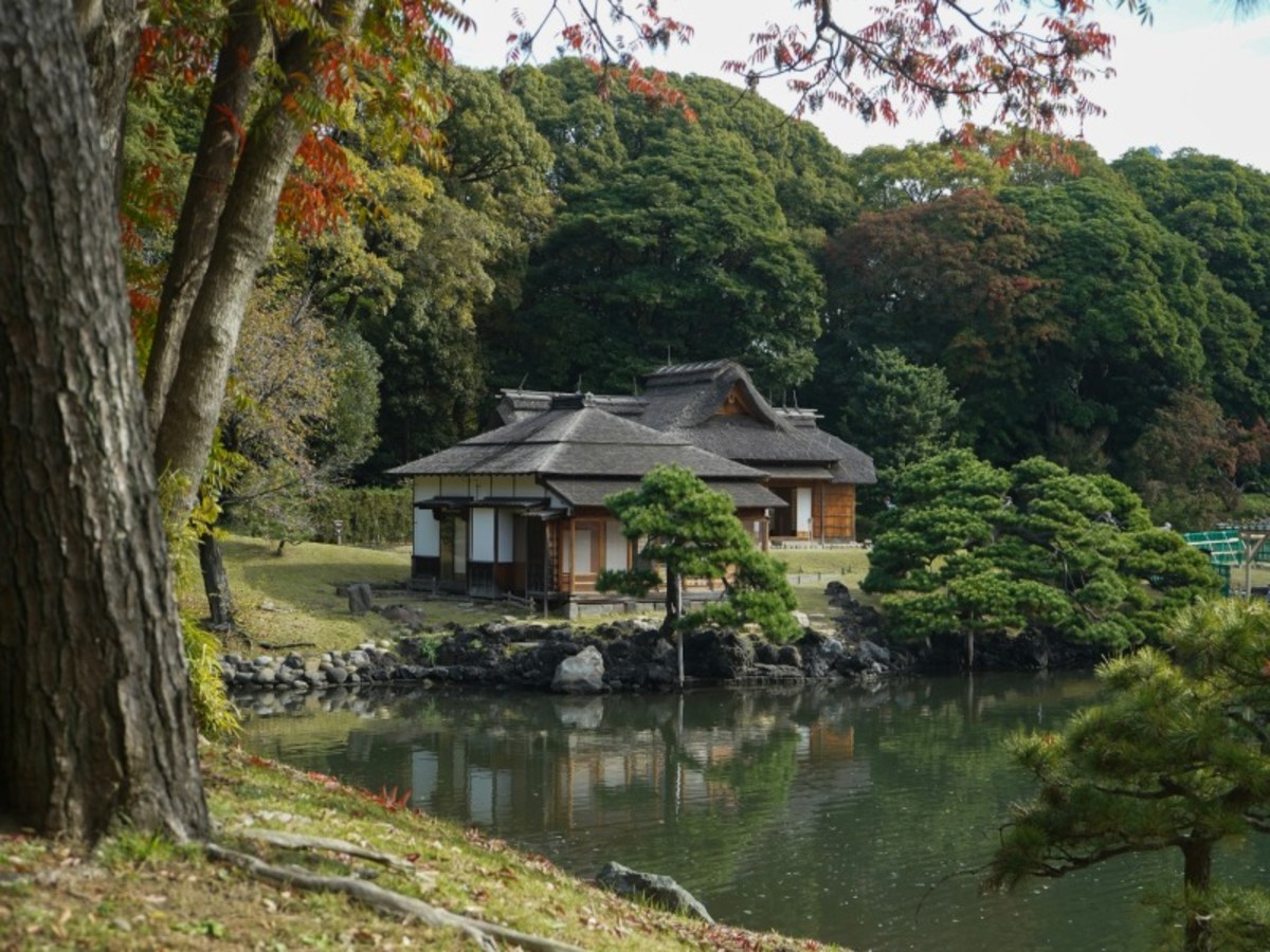 Osaka > Tokyo 0