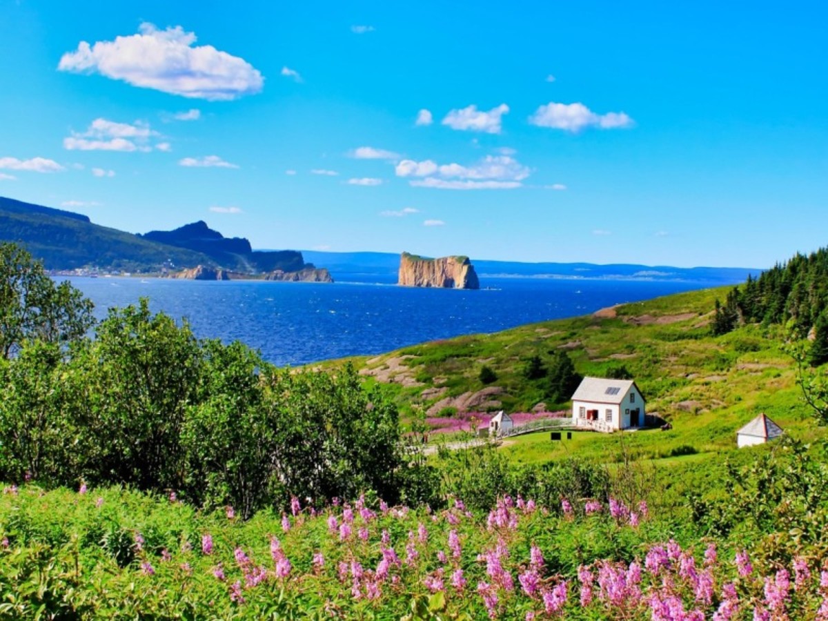 Sainte Anne Des Monts > Parc National Forillon > Percé (345 Km) 0