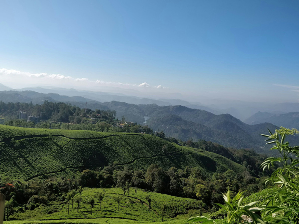 : Madurai – Munnar (140 Km – Environ 4h30 à 5h De Route) 0