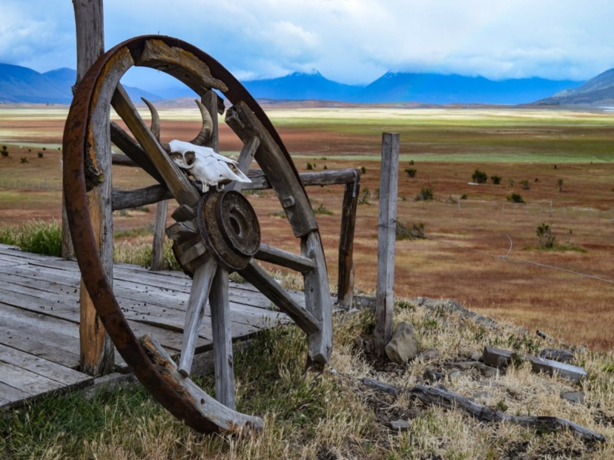 Puerto Natales > El Calafate (300km/04h30) 0