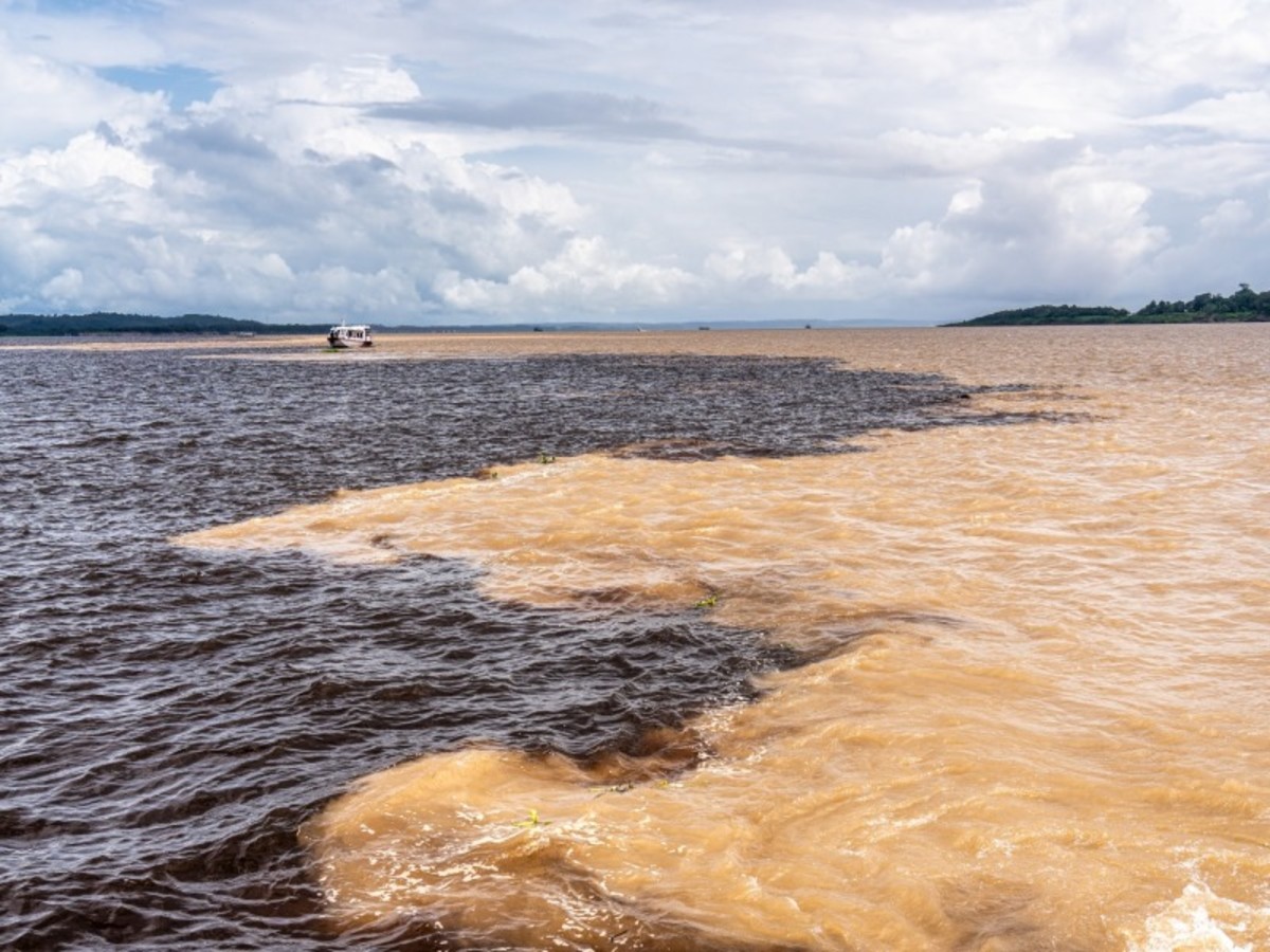 Dimanche / Manaus / Amazonie 0
