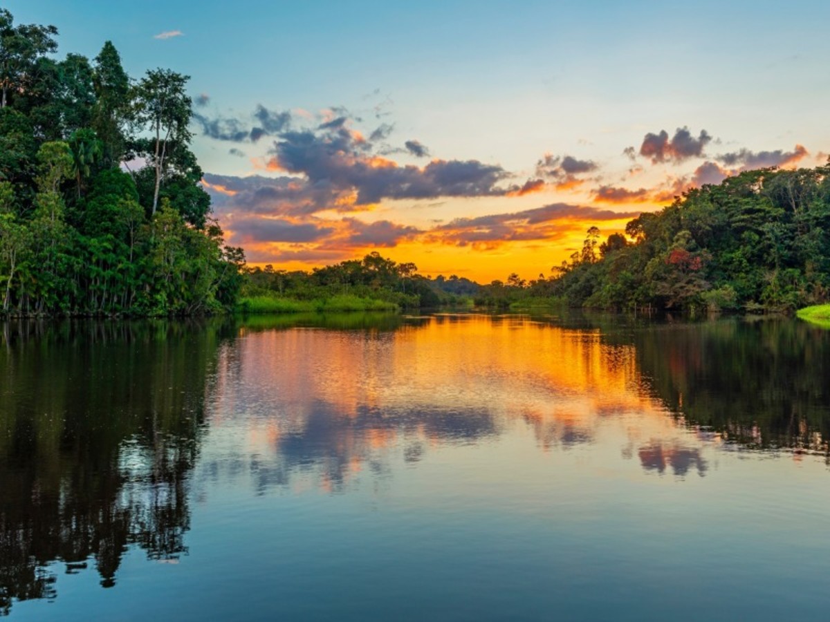 Amazonie > Manaus > France 0