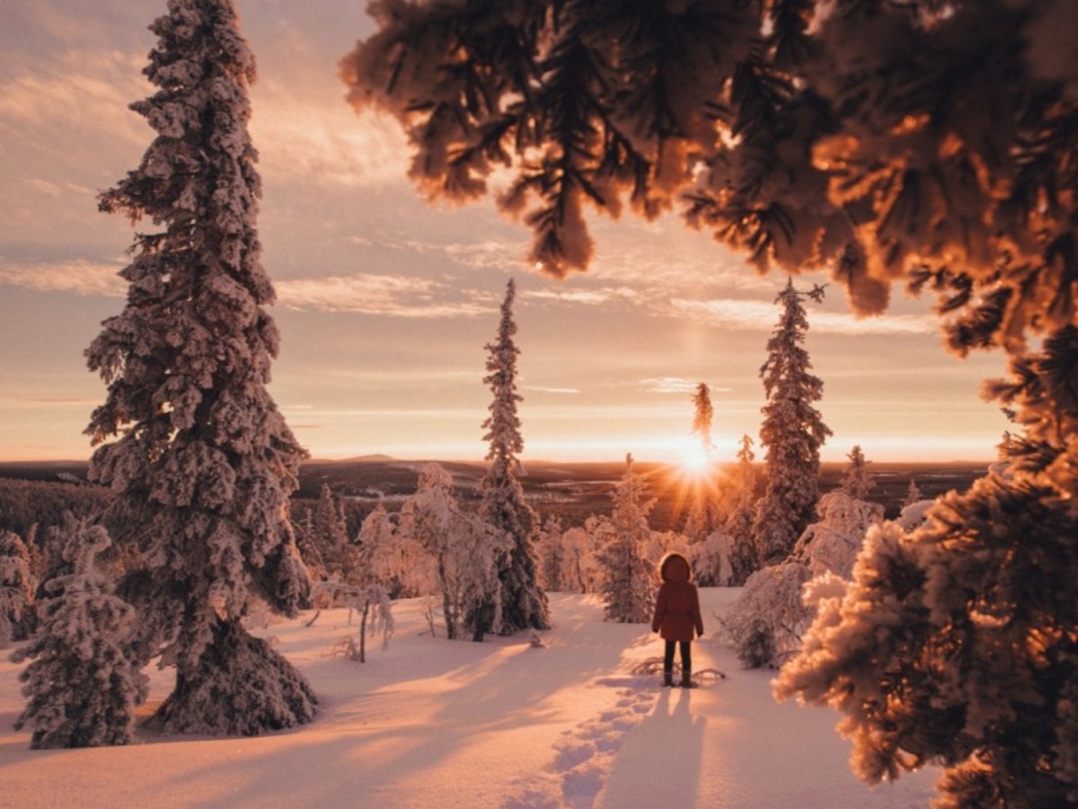 Safari Motoneige (2h) 0