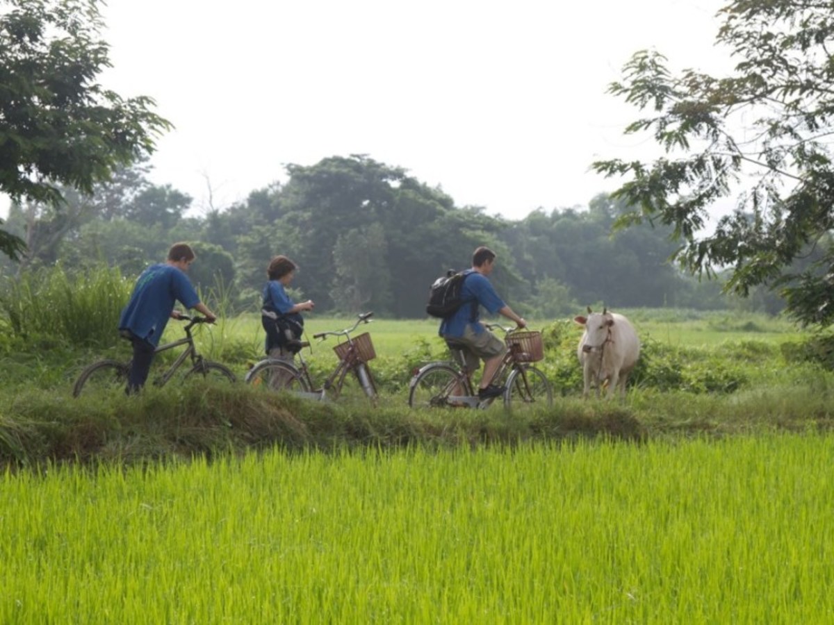 Chiang Mai (Env. 80 Km) 0