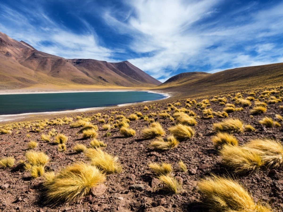 San Pedro De Atacama – Lagunes Altiplanicas 0